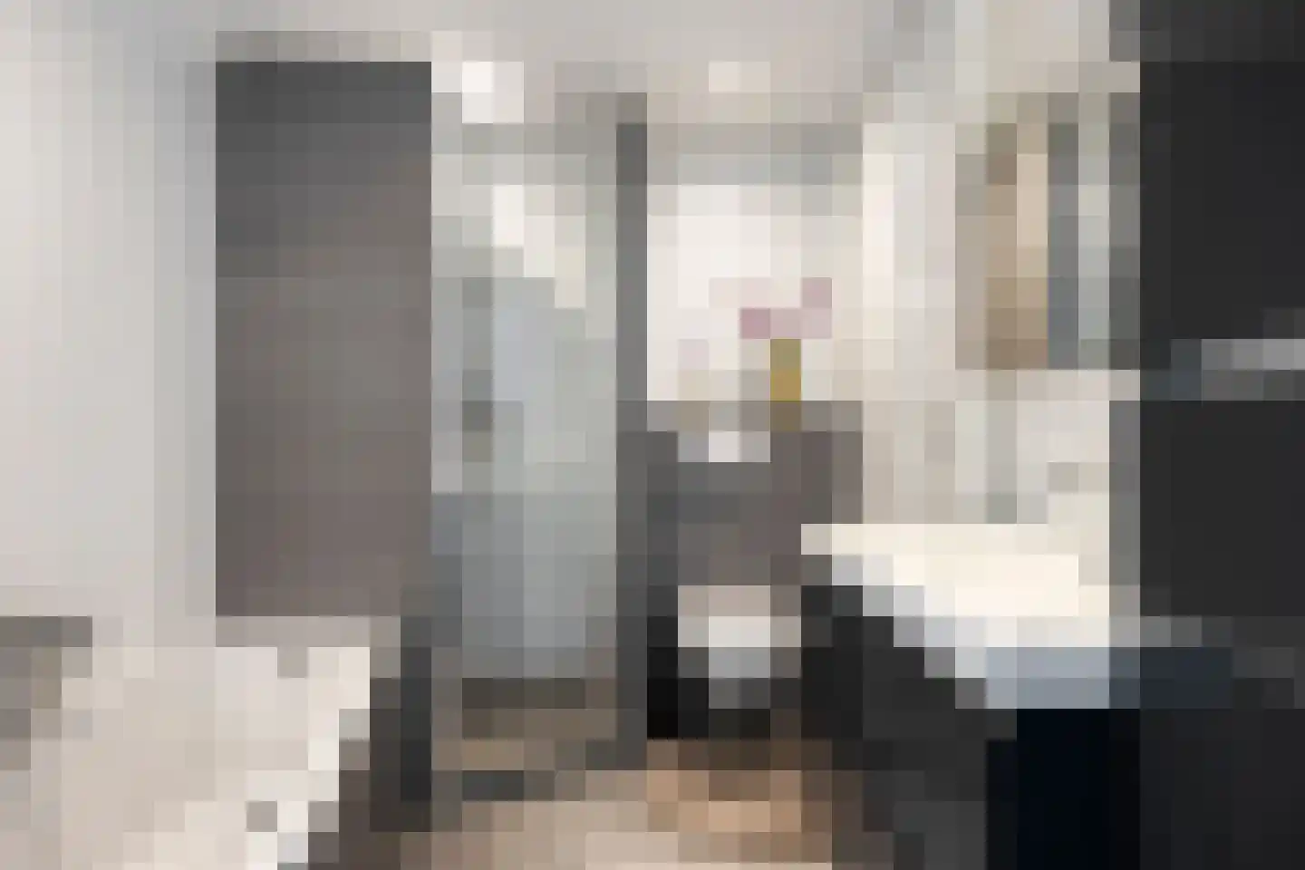 Dasstraat 39 Volkel thumbnail 18