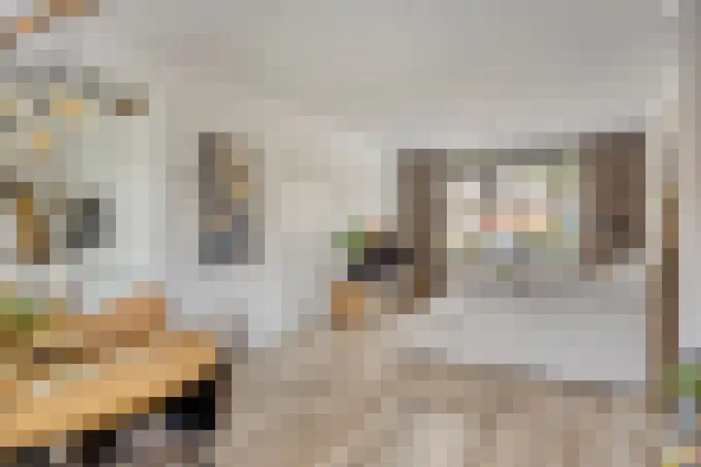 Dasstraat 39 Volkel thumbnail 6