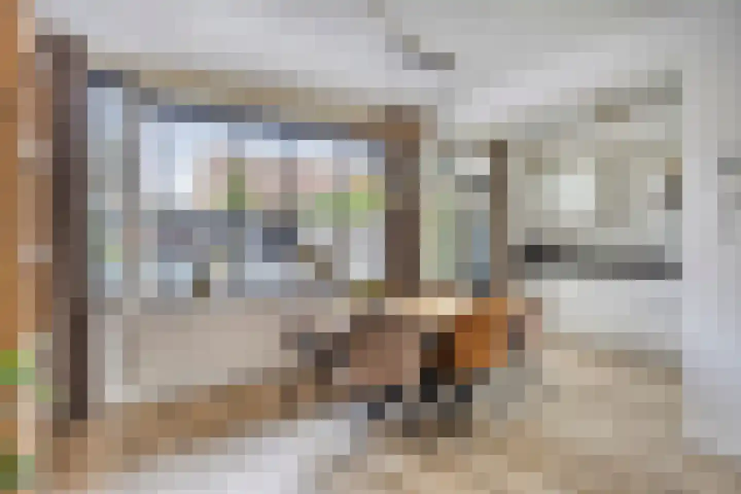 Dasstraat 39 Volkel thumbnail 8