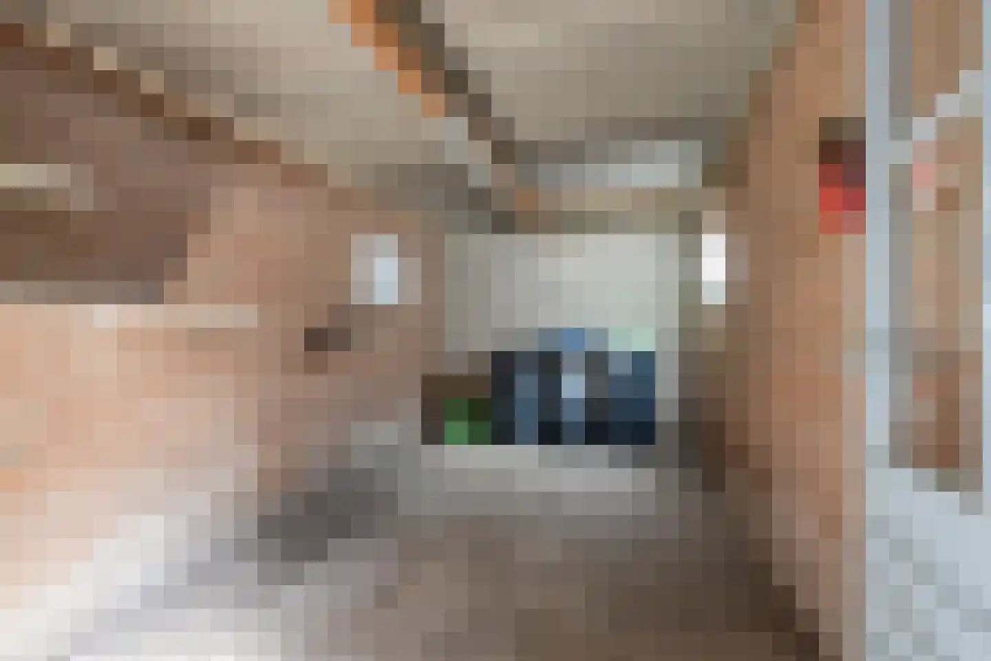 Dasstraat 41 Volkel thumbnail 27
