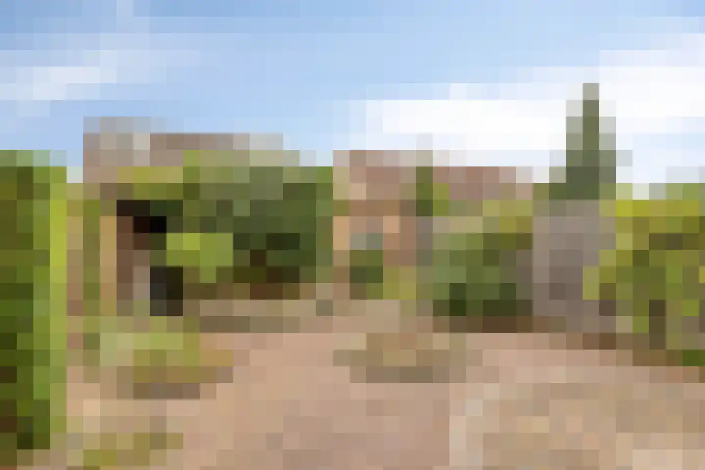 Dasstraat 41 Volkel thumbnail 28