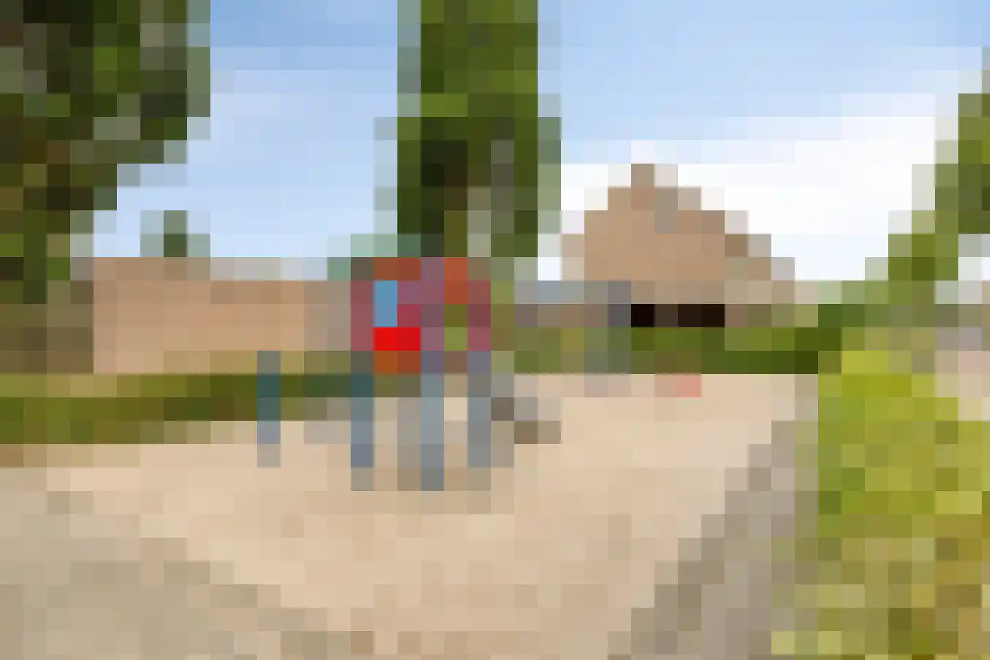 Dasstraat 41 Volkel thumbnail 32