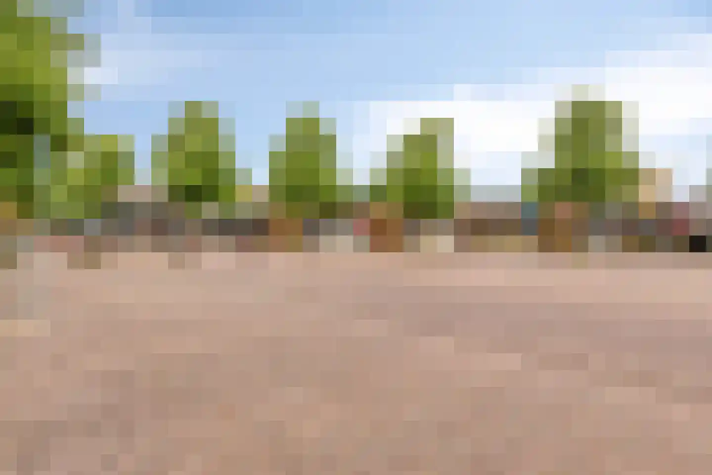 Dasstraat 41 Volkel thumbnail 33