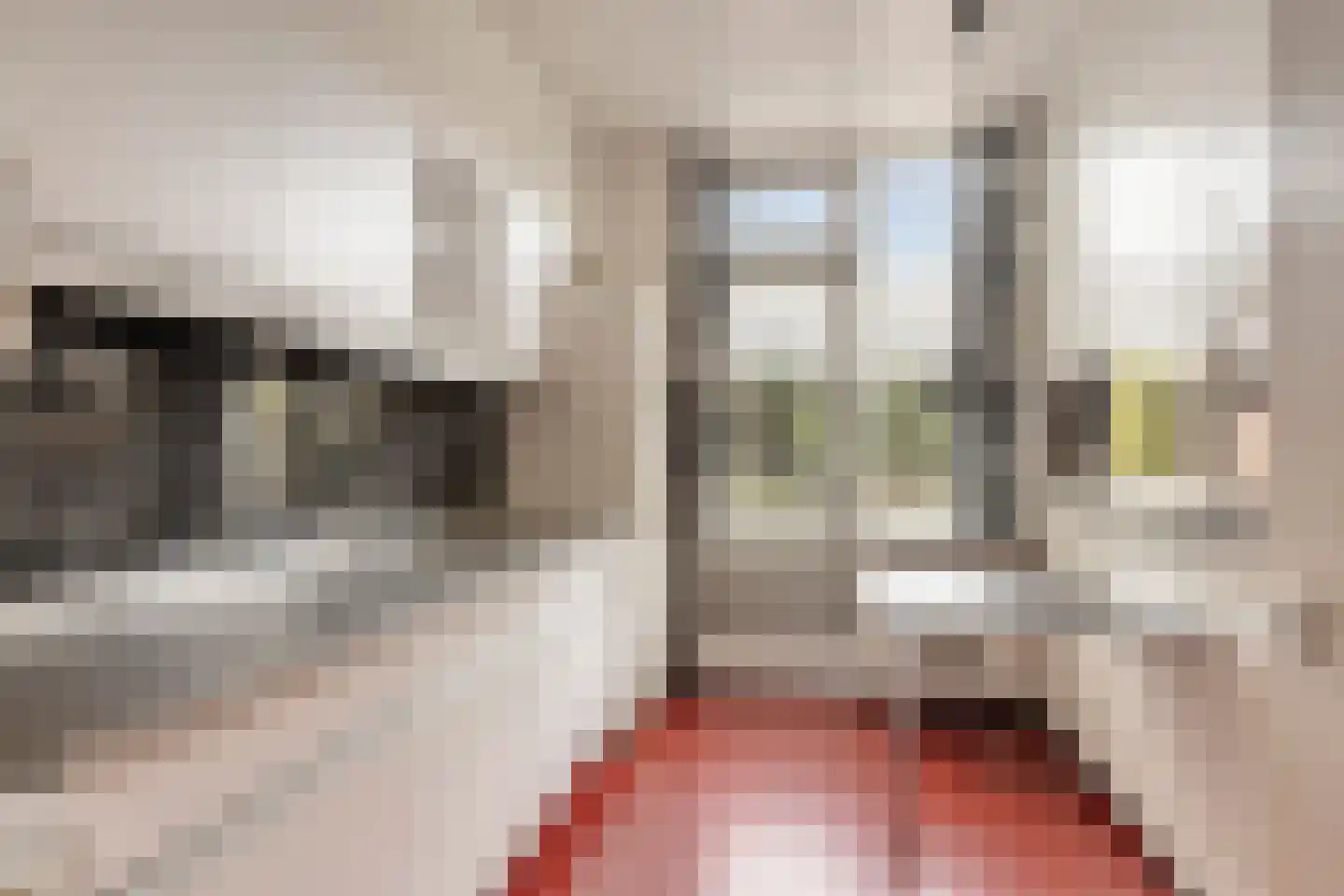 Dasstraat 41 Volkel thumbnail 6