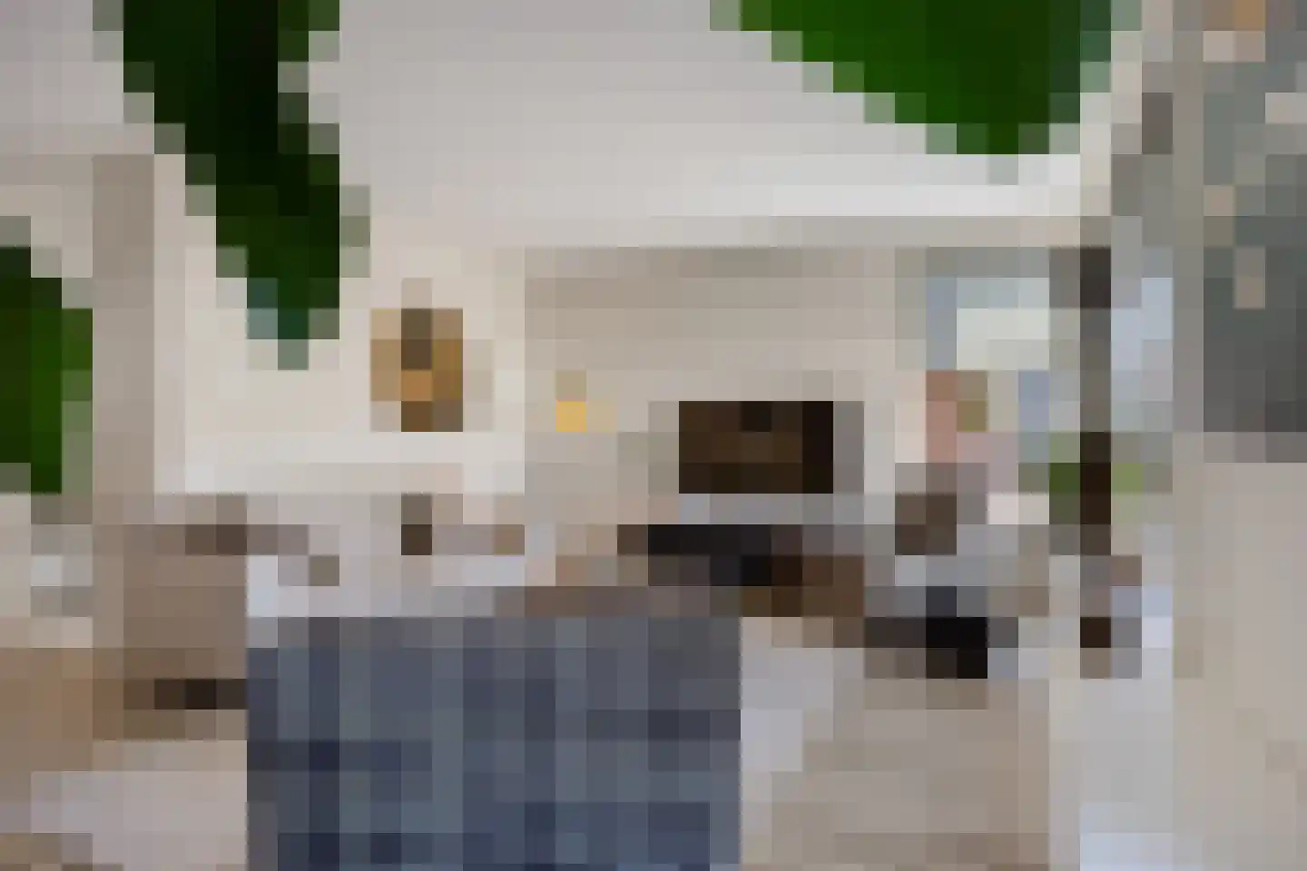 Dasstraat 44 Hengelo thumbnail 10