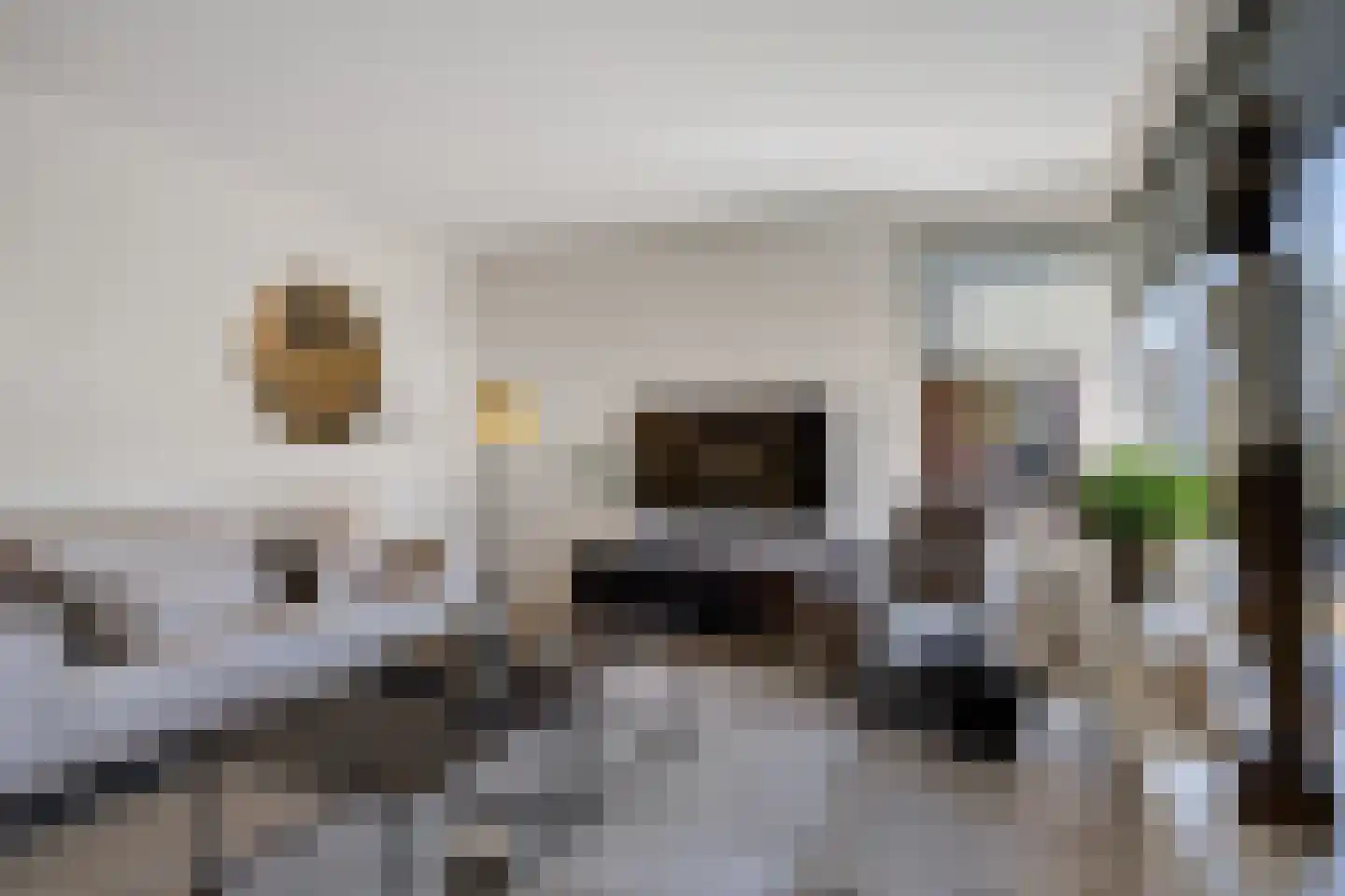 Dasstraat 44 Hengelo thumbnail 11