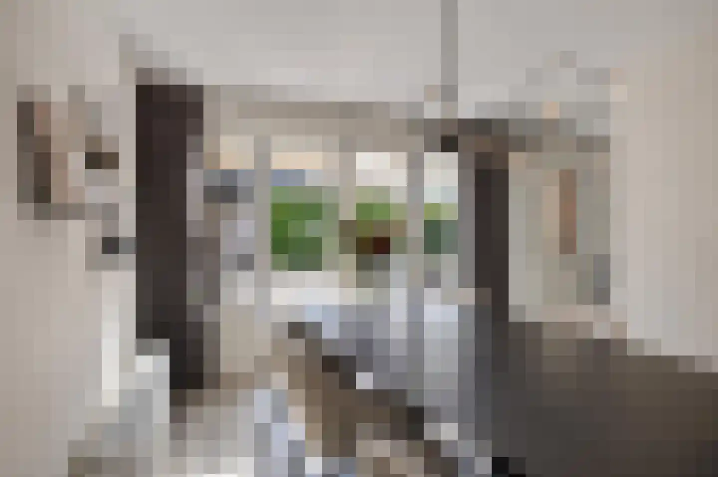 Dasstraat 44 Hengelo thumbnail 13