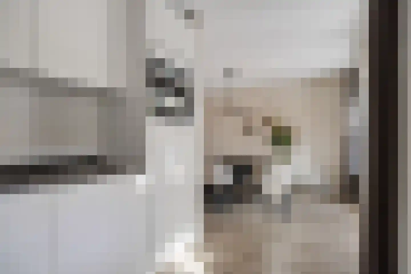 Dasstraat 44 Hengelo thumbnail 16