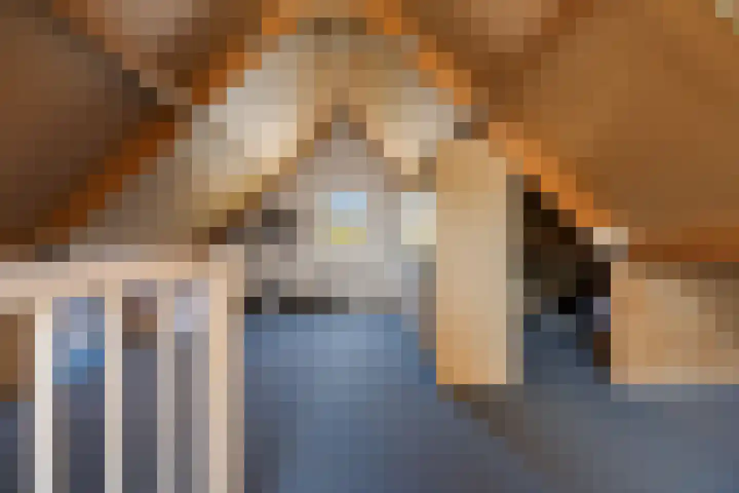 Dasstraat 44 Hengelo thumbnail 27