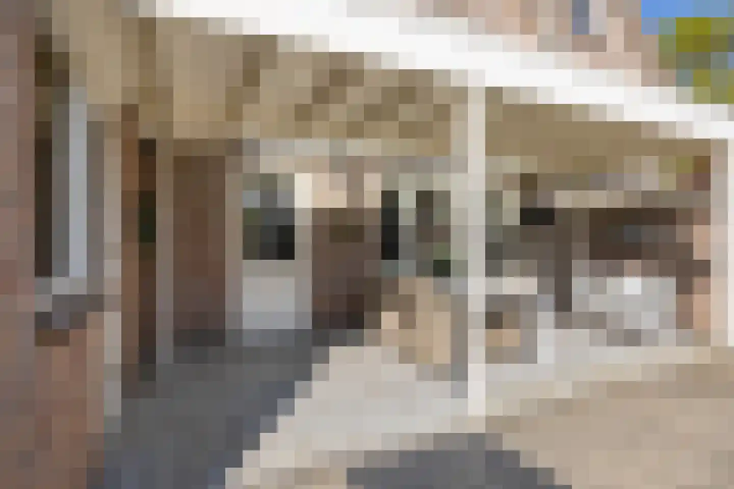 Dasstraat 44 Hengelo thumbnail 34