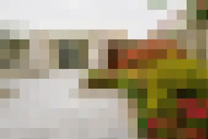 Dasstraat 45 Hengelo thumbnail 27