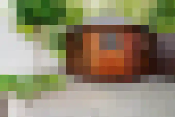 Dasstraat 45 Hengelo thumbnail 30