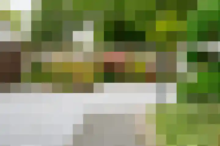 Dasstraat 45 Hengelo thumbnail 31
