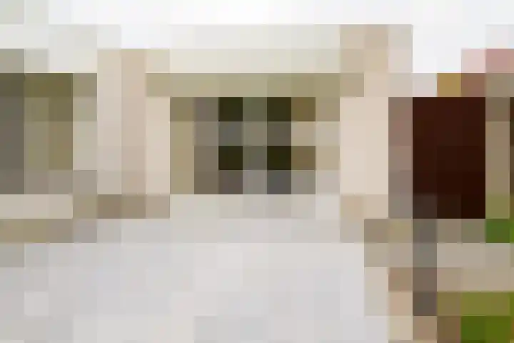 Dasstraat 45 Hengelo thumbnail 32