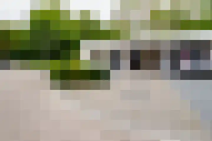 Dasstraat 45 Hengelo thumbnail 36