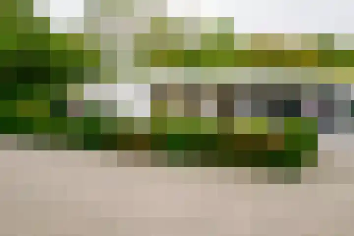 Dasstraat 45 Hengelo thumbnail 37