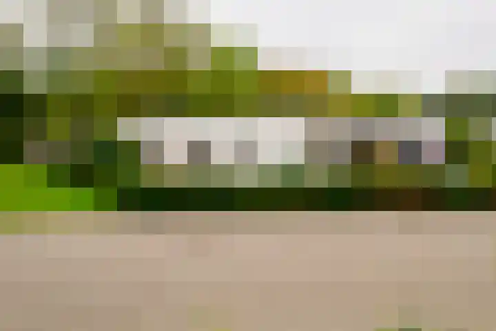 Dasstraat 45 Hengelo thumbnail 38