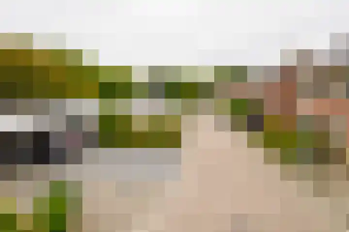Dasstraat 45 Hengelo thumbnail 39