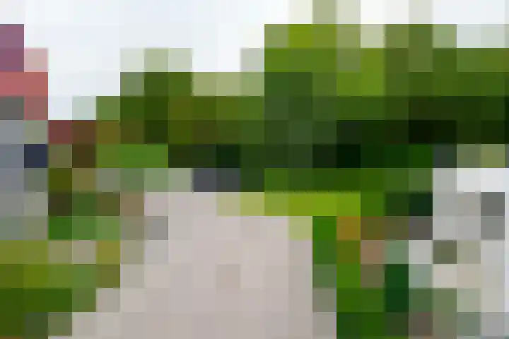 Dasstraat 45 Hengelo thumbnail 40