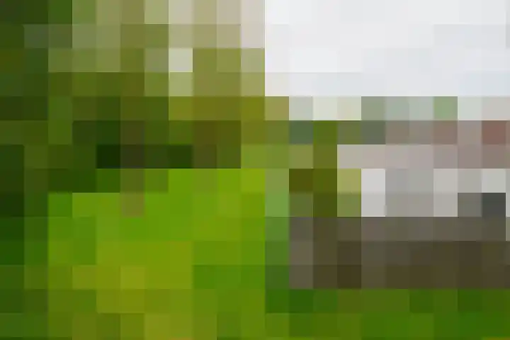 Dasstraat 45 Hengelo thumbnail 41