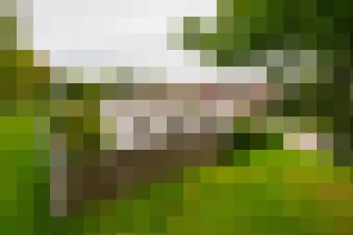 Dasstraat 45 Hengelo thumbnail 42
