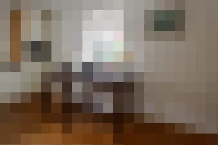 Dasstraat 45 Hengelo thumbnail 8