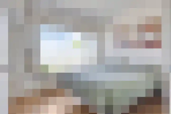 Dasstraat 6 Valkenswaard thumbnail 13
