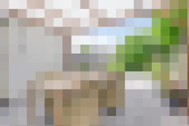 Dasstraat 6 Valkenswaard thumbnail 18