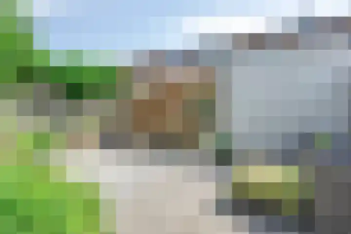 Dasstraat 6 Valkenswaard thumbnail 20