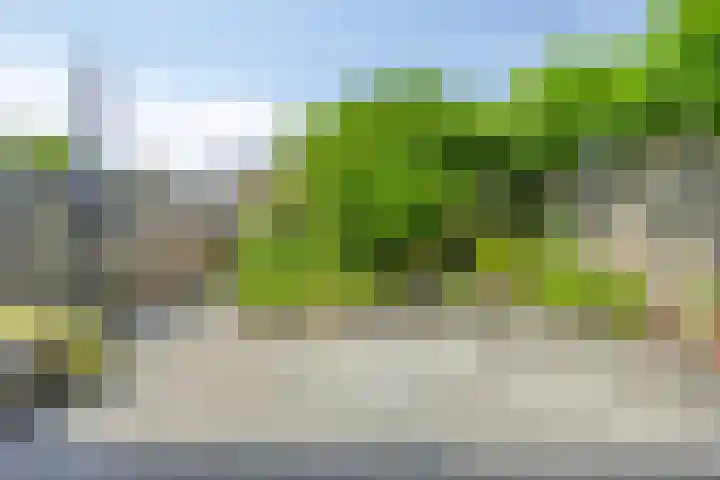 Dasstraat 6 Valkenswaard thumbnail 21
