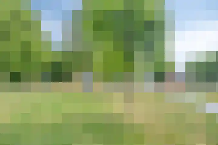 Dasstraat 6 Valkenswaard thumbnail 23