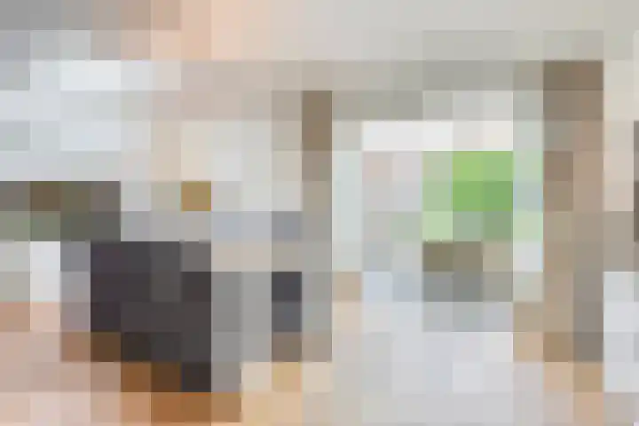 Dasstraat 6 Valkenswaard thumbnail 4