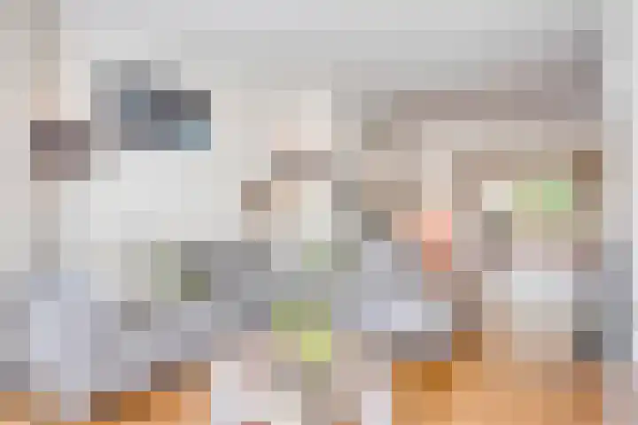 Dasstraat 6 Valkenswaard thumbnail 5