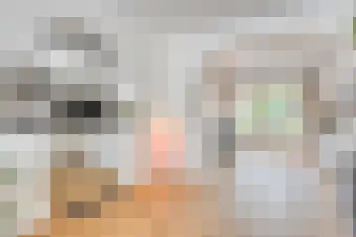 Dasstraat 6 Valkenswaard thumbnail 7
