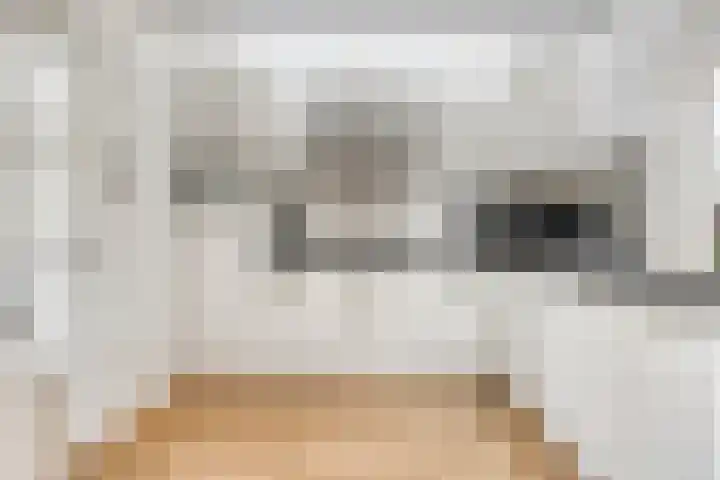 Dasstraat 6 Valkenswaard thumbnail 8