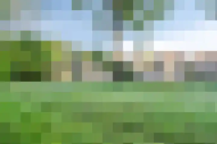 Dasstraat 63 Hengelo thumbnail 23