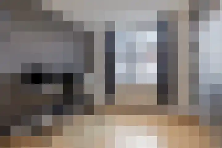 Dasstraat 8 Helmond thumbnail 22