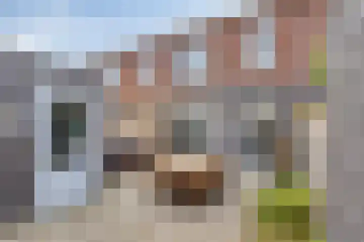 Dasstraat 8 Helmond thumbnail 29