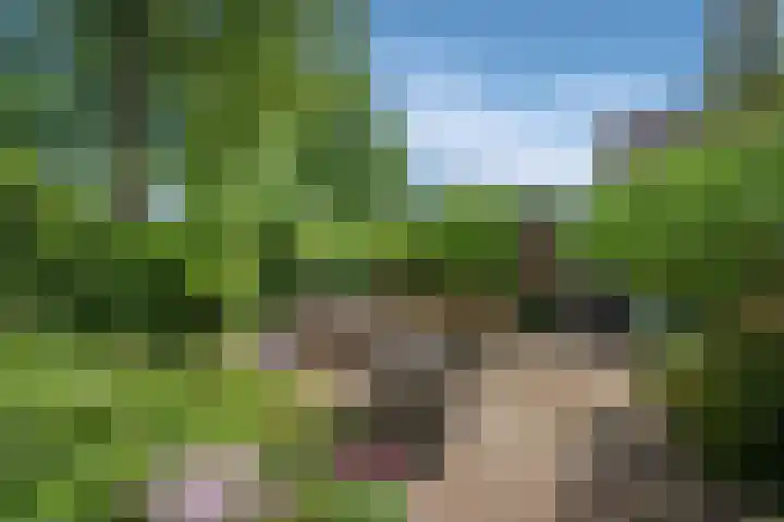 Datheenhove 46 Zoetermeer thumbnail 14