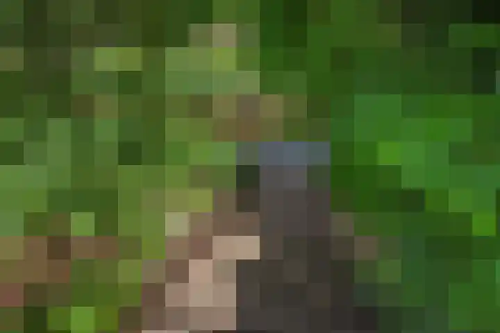 Datheenhove 46 Zoetermeer thumbnail 16