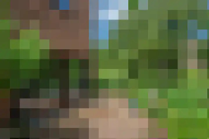 Datheenhove 46 Zoetermeer thumbnail 18