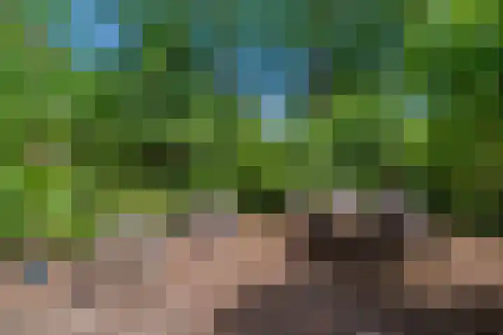 Datheenhove 46 Zoetermeer thumbnail 19