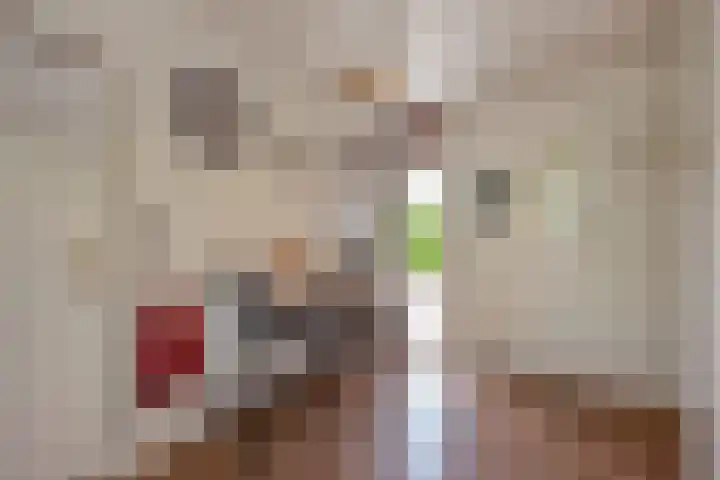 Datheenhove 46 Zoetermeer thumbnail 25