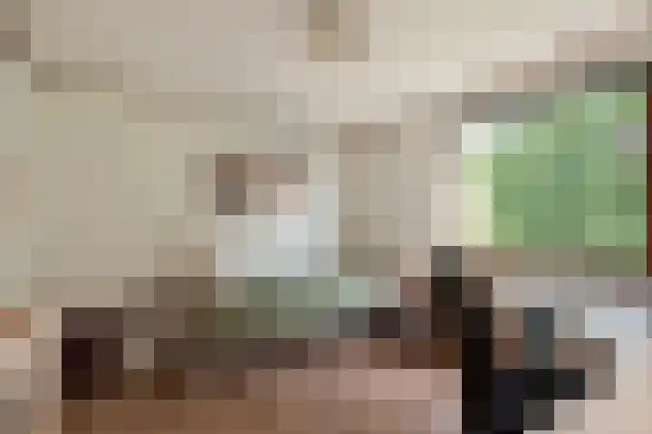 Datheenhove 46 Zoetermeer thumbnail 38