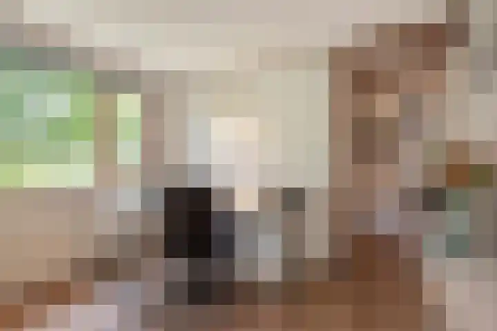Datheenhove 46 Zoetermeer thumbnail 39