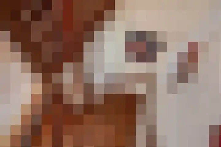 Datheenhove 46 Zoetermeer thumbnail 44