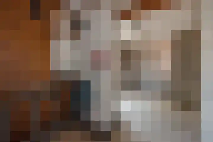 Datheenhove 46 Zoetermeer thumbnail 45