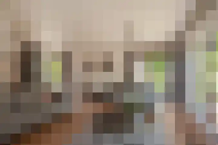 Datheenhove 46 Zoetermeer thumbnail 6