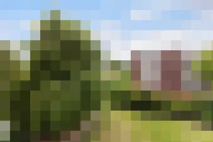 Datheenstraat 177 Vlaardingen thumbnail 13