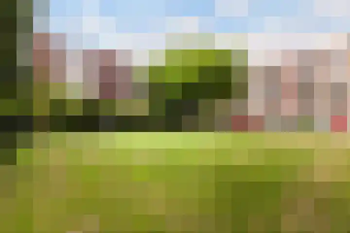 Datheenstraat 177 Vlaardingen thumbnail 28